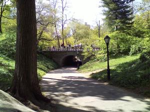 Central Park. Children's District. Watching the carriages go by.