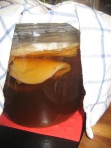 Our kombucha fermenting. You can see the scoby floating on the top.