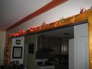 Our fall twinkle lights. Made with orange halloween lights with paper leaves twisty tied on.
