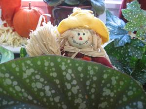 Isn't this little face cute peeking over my plant leaves.
