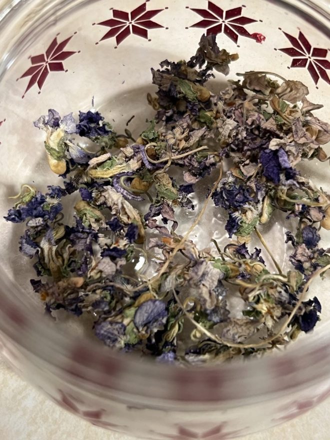 Dried wild violets in a jar